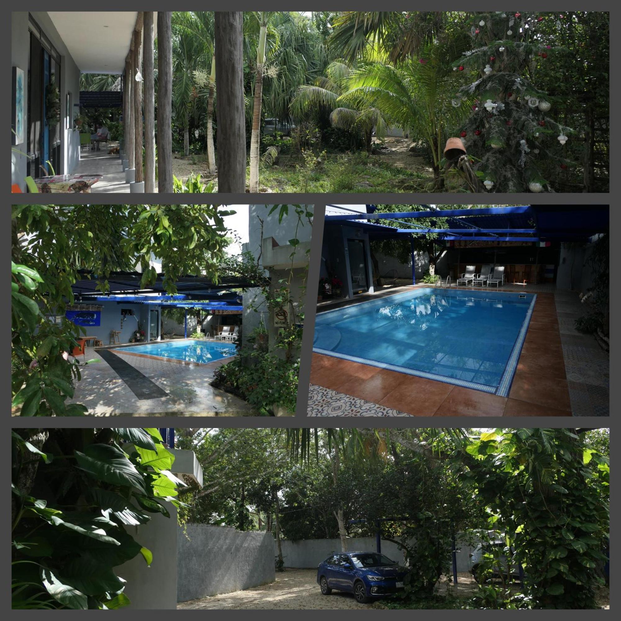 The Blue Eco Lodge Tikuch Exteriör bild